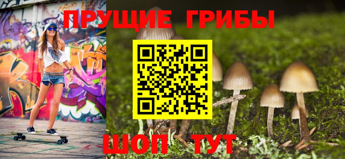 Галлюциногенные грибы Cubensis Вязьма