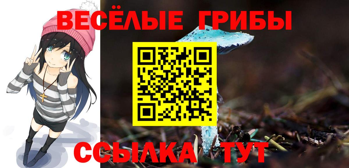 цены наркотик  Псилоцибиновые грибы Cubensis  Вход с VPN  Вязьма 